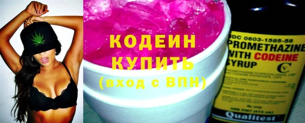 индика Верея