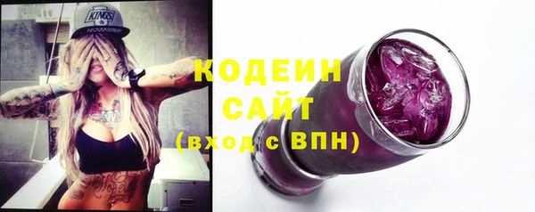 индика Верея