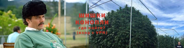 индика Верея