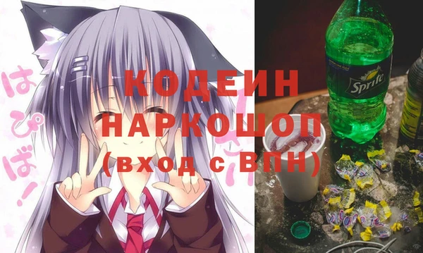 индика Верея