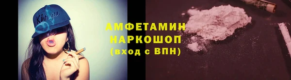 индика Верея