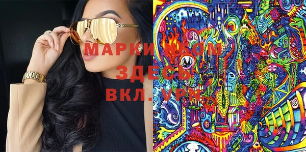 индика Верея