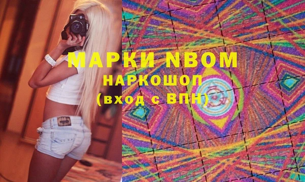индика Верея